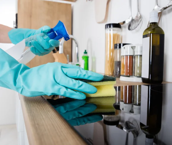 House Cleaning Services